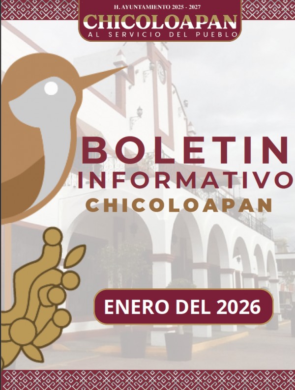 Boletín enero 2026